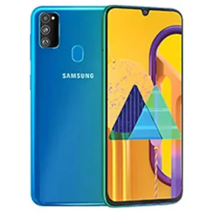 Samsung Galaxy M30s